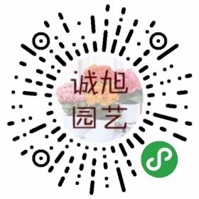 江阴诚旭园林